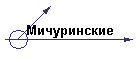 Мичуринские